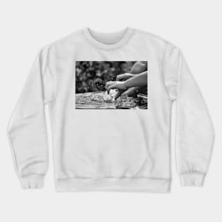 Catching Water Crewneck Sweatshirt